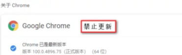 如何禁止谷歌浏览器自动升级6
