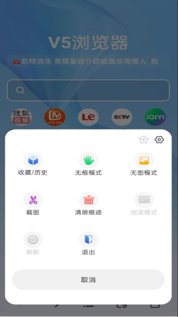 v5浏览器手机版截图2