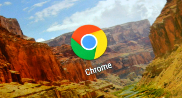 如何通过Chrome浏览器提升网页加载的整体速度