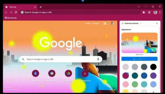 如何设置Google Chrome浏览器的隐私保护功能