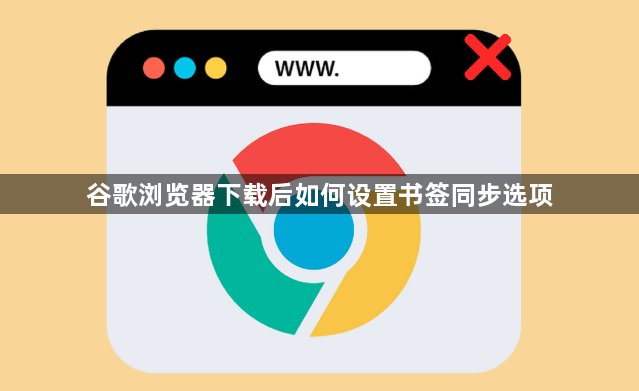 谷歌浏览器下载后如何设置书签同步选项1