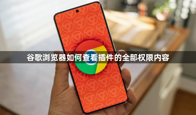 谷歌浏览器如何查看插件的全部权限内容1