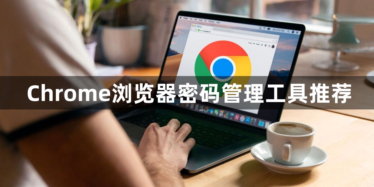 Chrome浏览器密码管理工具推荐1