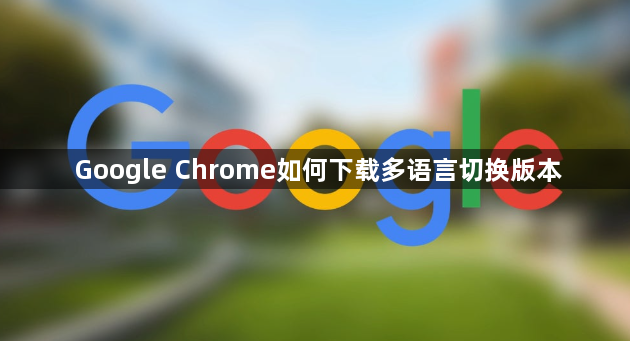 Google Chrome如何下载多语言切换版本1