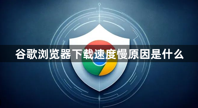 谷歌浏览器下载速度慢原因是什么1