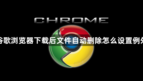谷歌浏览器下载后文件自动删除怎么设置例外1