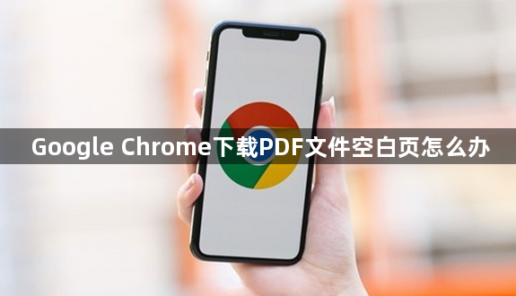 Google Chrome下载PDF文件空白页怎么办1