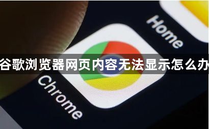 谷歌浏览器网页内容无法显示怎么办1
