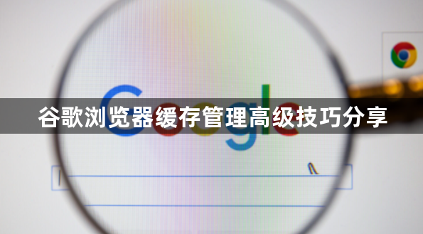 谷歌浏览器缓存管理高级技巧分享1
