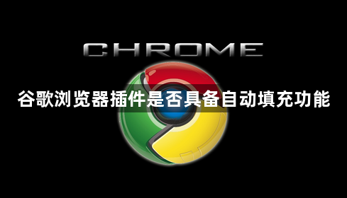 谷歌浏览器插件是否具备自动填充功能1