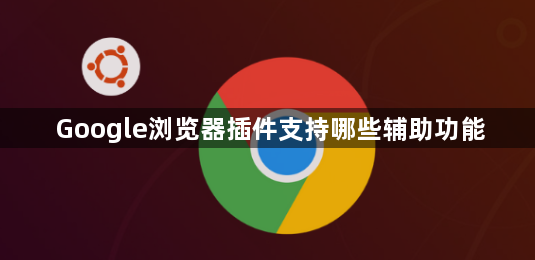 Google浏览器插件支持哪些辅助功能1