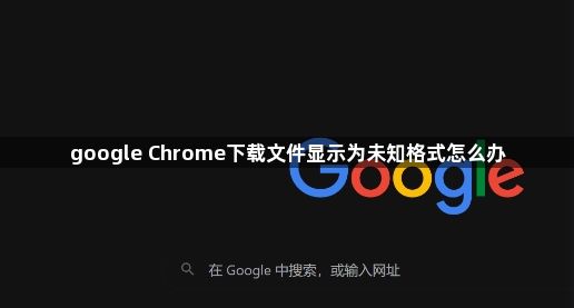 google Chrome下载文件显示为未知格式怎么办1