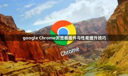google Chrome浏览器插件与性能提升技巧1