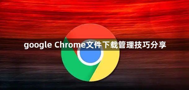 google Chrome文件下载管理技巧分享1