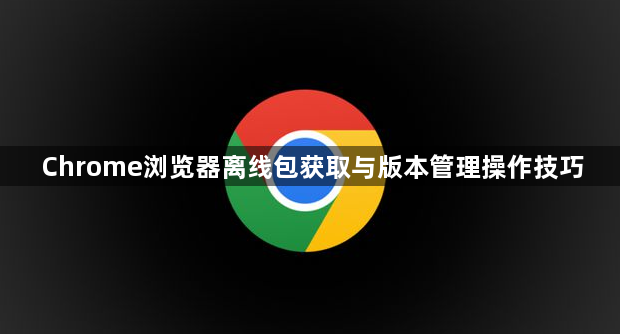 Chrome浏览器离线包获取与版本管理操作技巧1