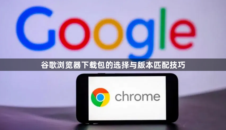 谷歌浏览器下载包的选择与版本匹配技巧1