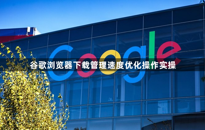 谷歌浏览器下载管理速度优化操作实操1