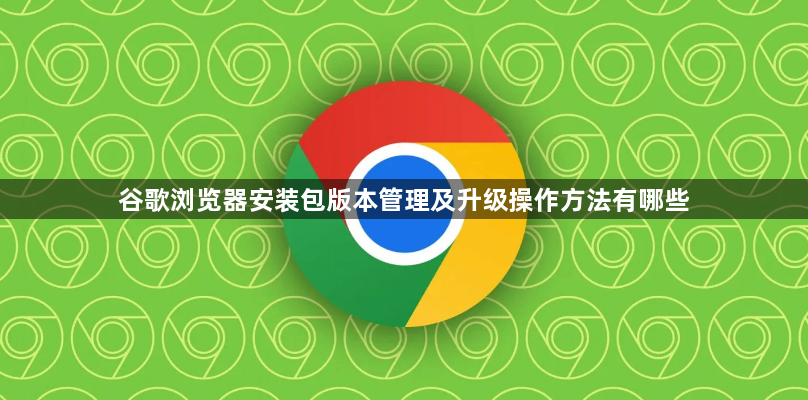 谷歌浏览器安装包版本管理及升级操作方法有哪些1