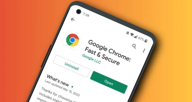 如何下载安装Google浏览器企业版