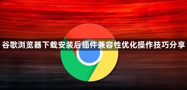 谷歌浏览器下载安装后插件兼容性优化操作技巧分享1